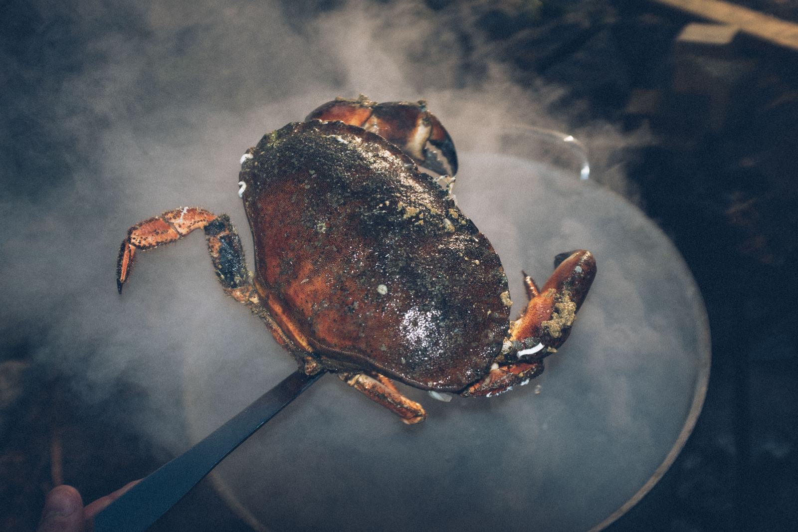 A crab lifted from the pot in steam