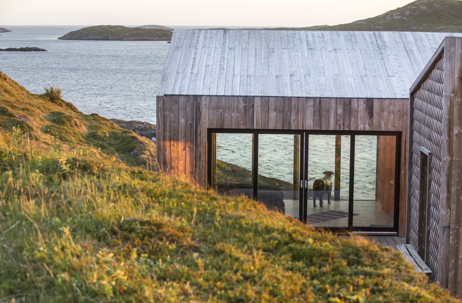 The Kitchen House in low summer light, grass and sea around it