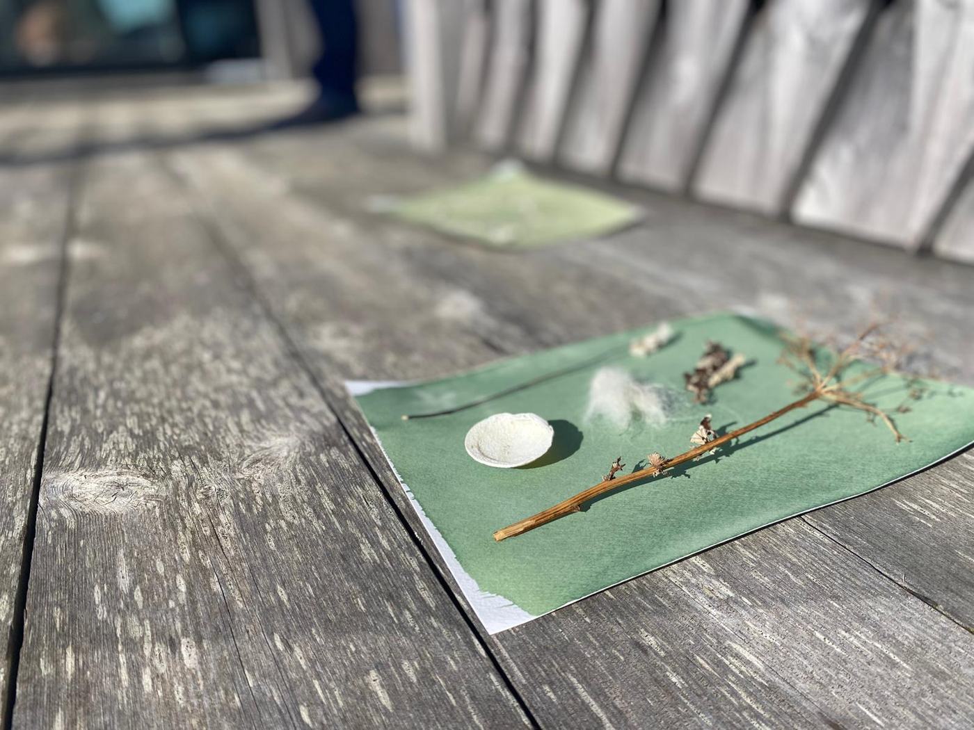 Cyanotype prints laid out on the deck