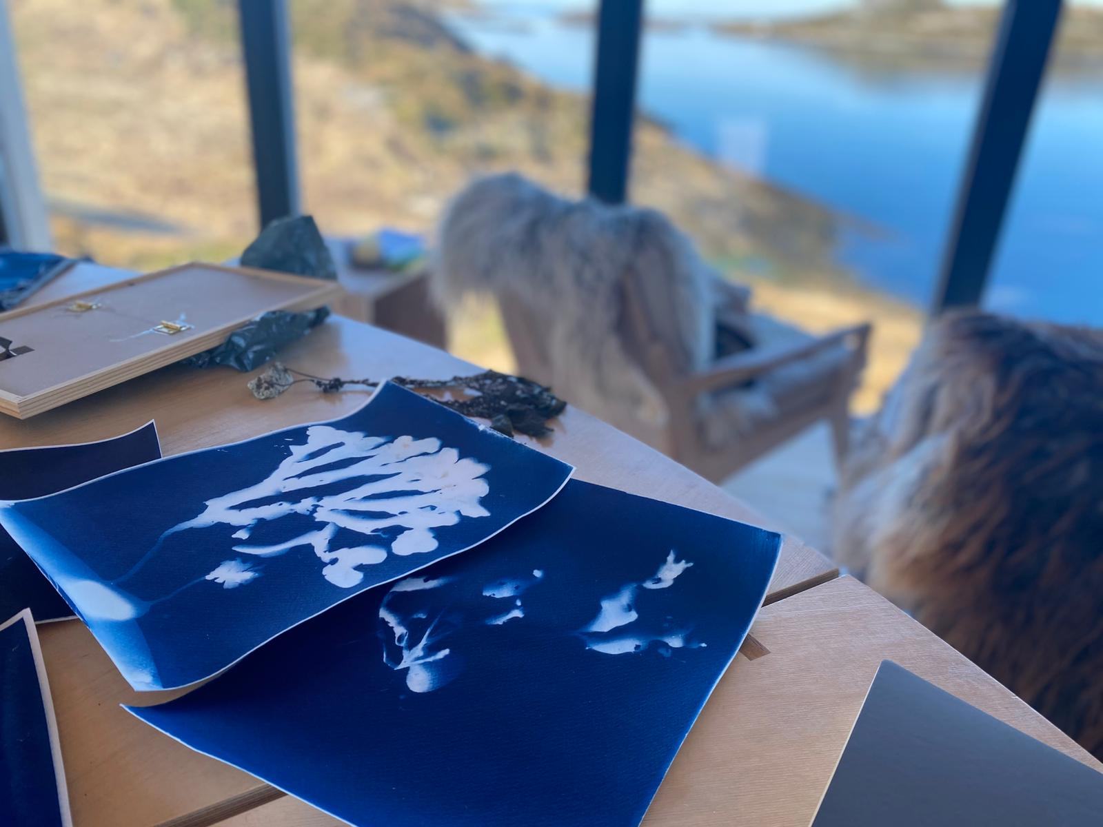 A cyanotype print drying on a table by the window, the sea outside